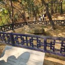 가을날 역사여행 | 🍁 가을날, 조선의 역사 속으로! 수원화성 탐방