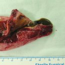 장유송영상의학과의원 이미지