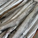 목포세발낙지 이미지