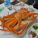 큰동해시장 | 동해 묵호 대게 포장 충남회식당 묵호항 수산시장 회센터 시세