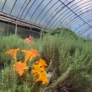 가온하우스 이미지