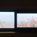 키에튀드 이미지