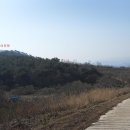 삼거리농장 이미지