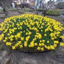 큰어리골 쉼터 이미지