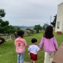 산청실내수영장 | 경남 산청 키즈 풀빌라 스테이 페어 내 돈 내산 솔직 후기!