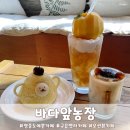검단로747 제일프라자 앞 | [인천]영종도 예쁜카페 데이트 바다앞농장 솔직 후기