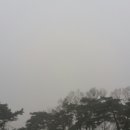 이리농장 이미지