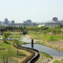 동관1