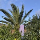 웨스트힐 | 8인 가족과 함께하는 제주 독채펜션 / 에어비앤비 제주숙소 / 또시인 제주 / 웨스트힐 / 제주도 가족여행