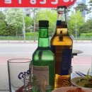 구갈로1 이미지