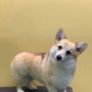 구억리경로당 이미지