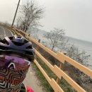 대천체육관 이미지