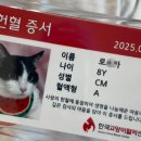 KABB 동물병원 이미지