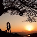 황토사랑 나무야 이미지