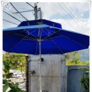 사파동114 이미지