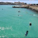 판포초등학교 이미지