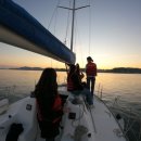 바다야놀자 이미지