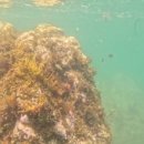 갈남스테이 이미지