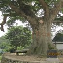 현암경로당 이미지