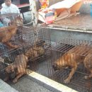 소뜰농장 이미지