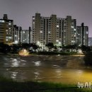 250804 “시청률 30%→3%”… 식상한 예능 ‘몰락’ 이미지