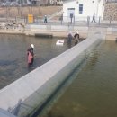 금빛환경 이미지