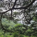 그냥(JUST)