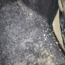 원일모터스 이미지