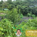 녹동리 이미지