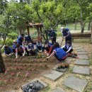 삼평초등학교 이미지