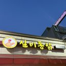 실비통닭