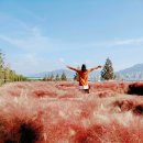 휠링캠프 | 우리의 두번째 캠핑, 대저캠핑장 (feat.핑크뮬리)