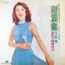 강정화 / 사랑은 해바라기 1973 이미지