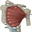 롤랜드 헬스클럽PT 이미지