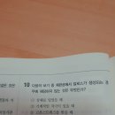 칼로스 문제 이미지