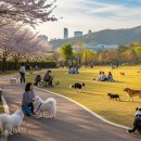 문경엘피지충전소 이미지