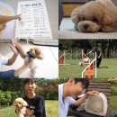 토리농장 이미지