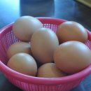 부산양지탕 이미지