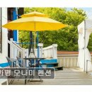 모나미 | 가평 애견동반 펜션 추천 가평 모나미 펜션 가성비 좋고 조용한 휴식처