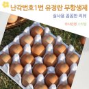 에이스축산물 | 신선한 아침 식탁의 품격 가족 건강챙김 난각번호1번 계란 유정란 20구 달걀 무항생제 자연방사 사용기