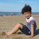 서해바다 이미지