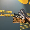 위트헤어(WIT) | 요시고 사진전 주말 오픈런 굿즈 가격 정보 서울 전시회 추천