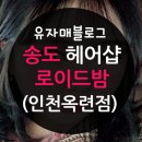 효명헤어샵 | 송도 미용실, 로이드밤 옥련점 내돈 솔직후기