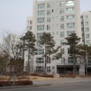 강남-260 이미지