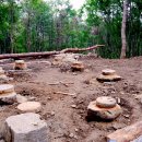 생태 흙집 이미지