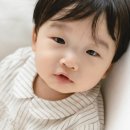러브씨드스튜디오