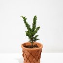 법원로3길 23 이미지