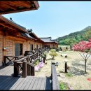 황토기와집펜션 이미지