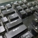 수원-0021 이미지