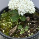 예진농장 이미지